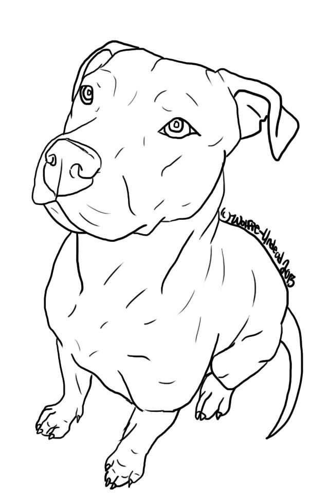 a black and white drawing of a dog with a collar on it's neck