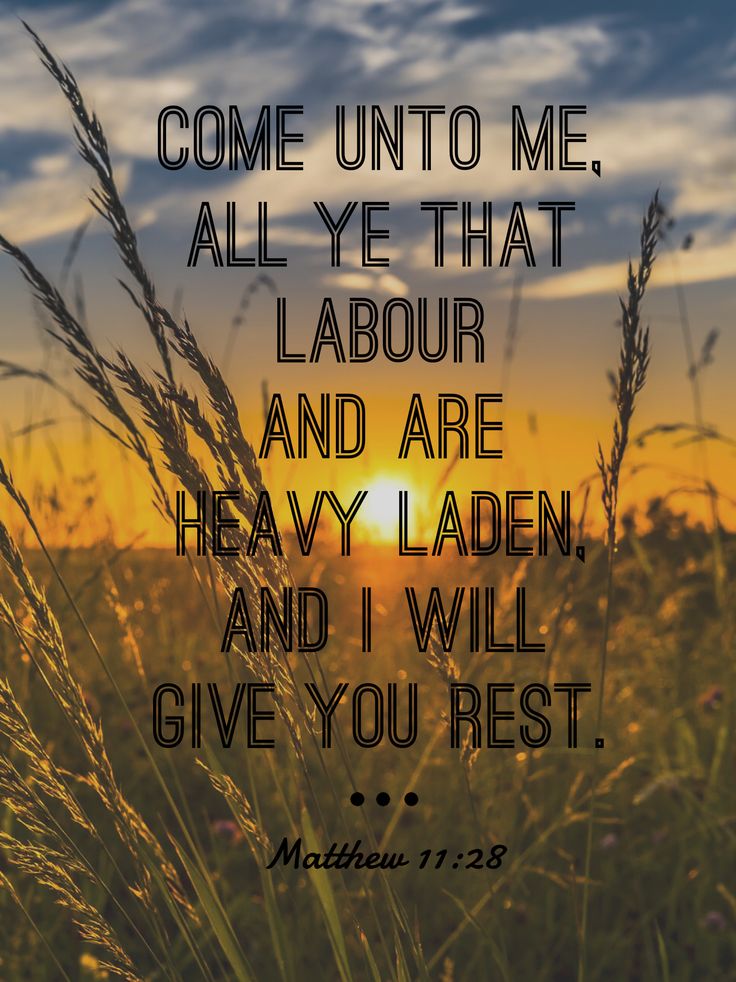 a field with grass and the sun setting in the background, with a bible verse written on