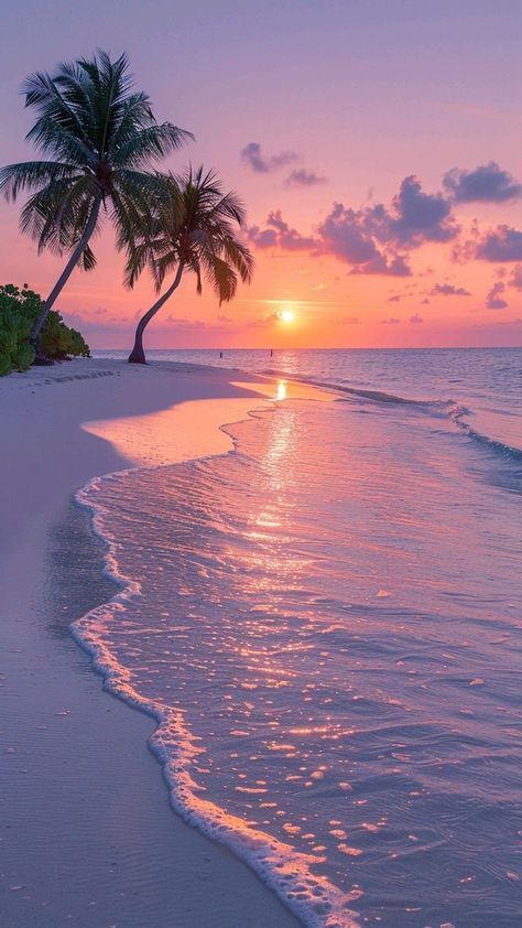 the sun is setting on an empty beach with palm trees in the foreground and water below