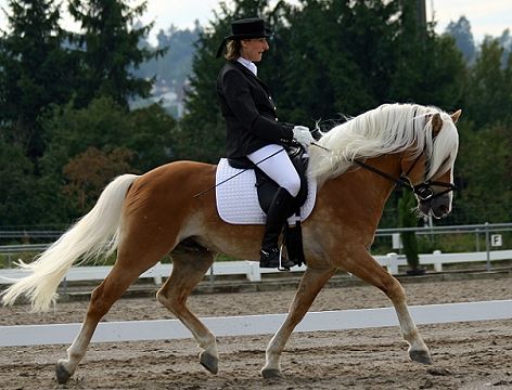 a woman riding on the back of a brown and white horse