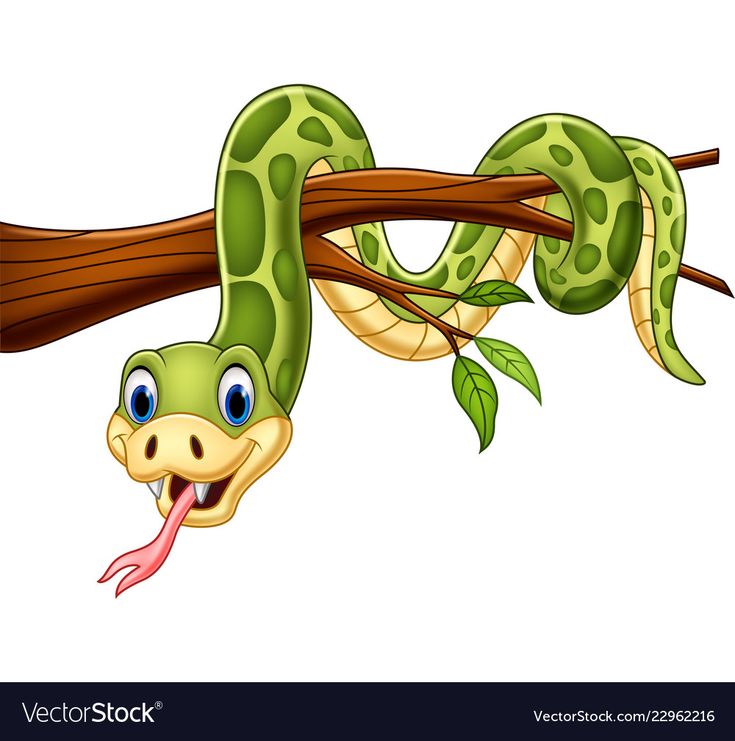 a green snake hanging on a branch with its tongue out and eyes wide open to the side