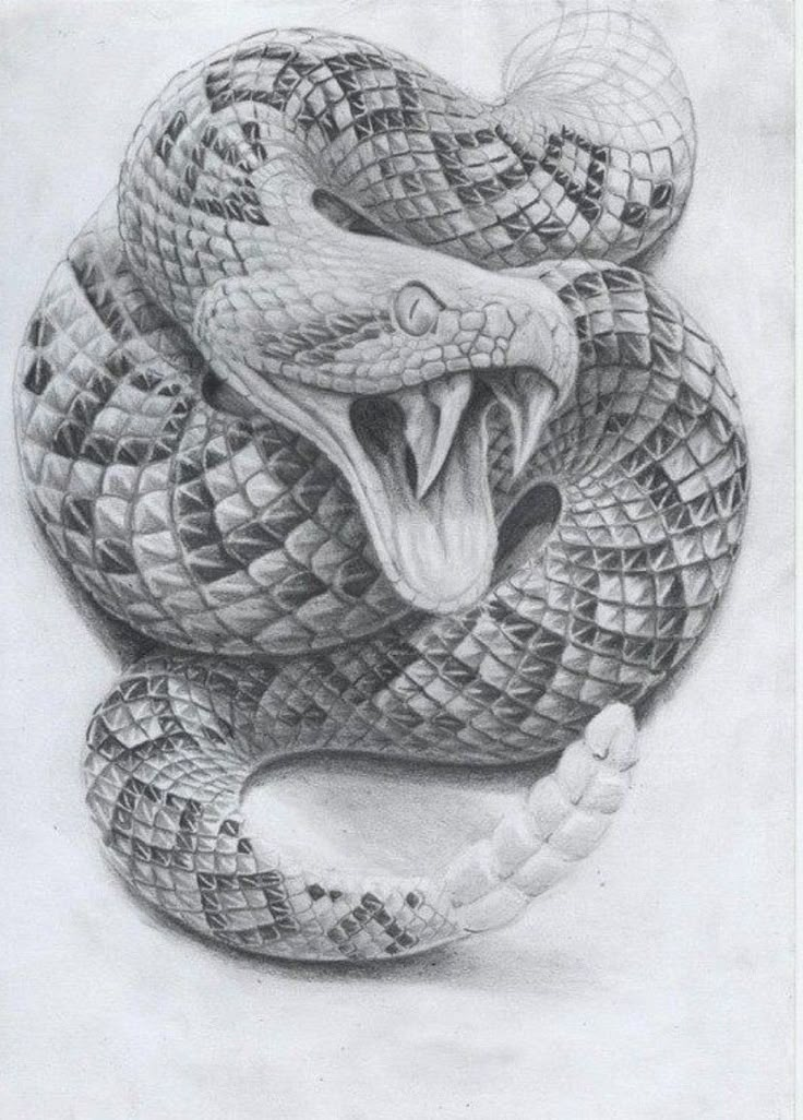 a pencil drawing of a snake with it's mouth open and its tongue out