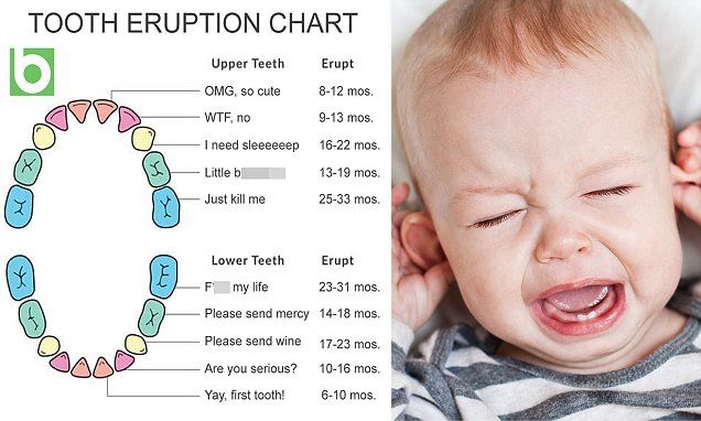 a baby crying next to a diagram of teeth