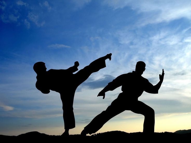 two silhouettes of people doing karate in front of a blue sky with white clouds