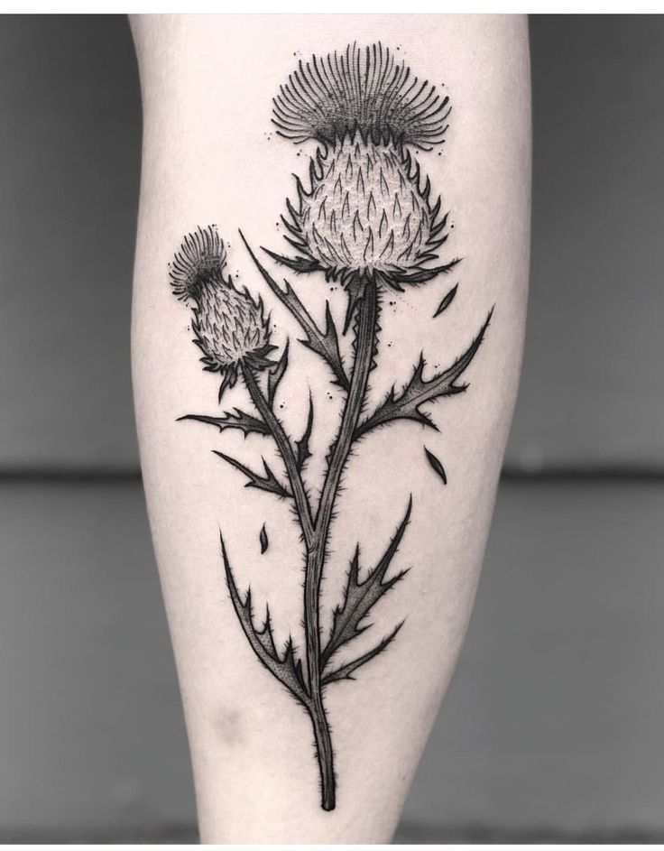 a black and white photo of a thistle flower on the leg, with its petals still attached