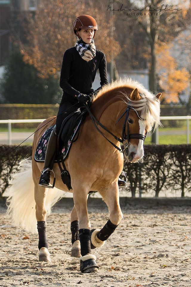 a woman riding on the back of a brown horse