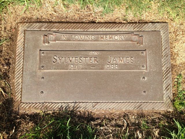 a plaque in the grass that says, in loving memory sylvester james on it