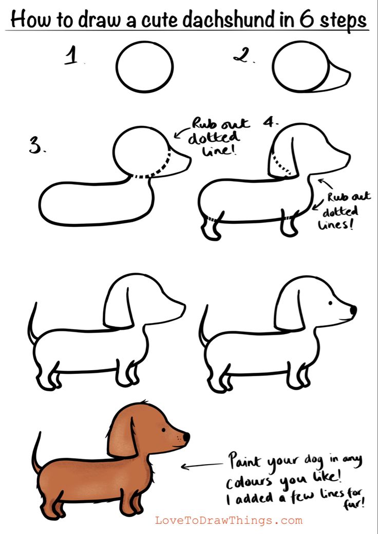 How To Draw A Dachshund Face