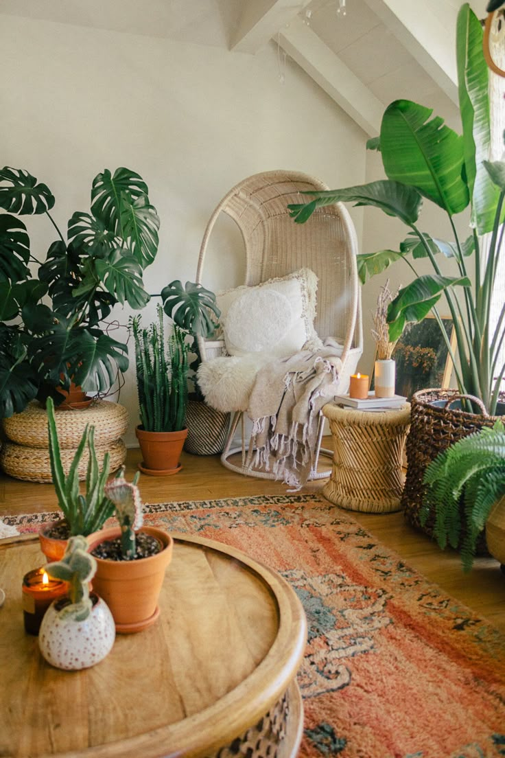 a living room filled with lots of plants and potted plants on top of a wooden table