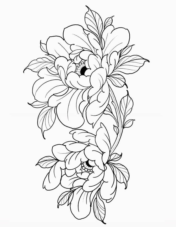 a black and white drawing of flowers with leaves on the bottom half of each flower