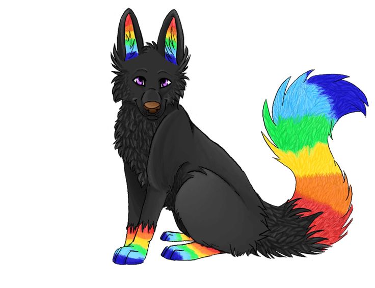 a black dog with multicolored fur sitting down