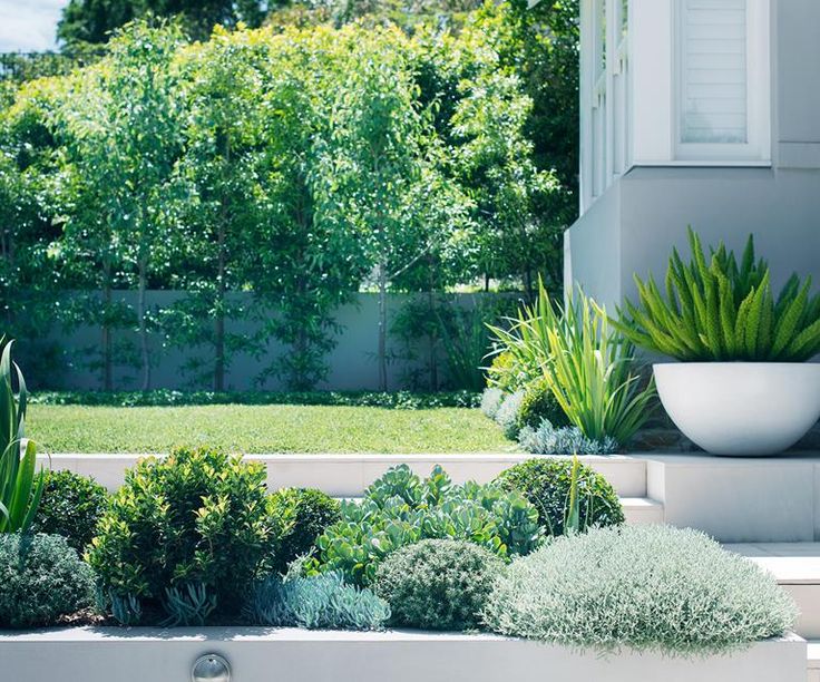 a white planter filled with lots of green plants next to a tall white building