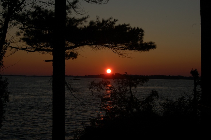 the sun is setting behind some trees by the water