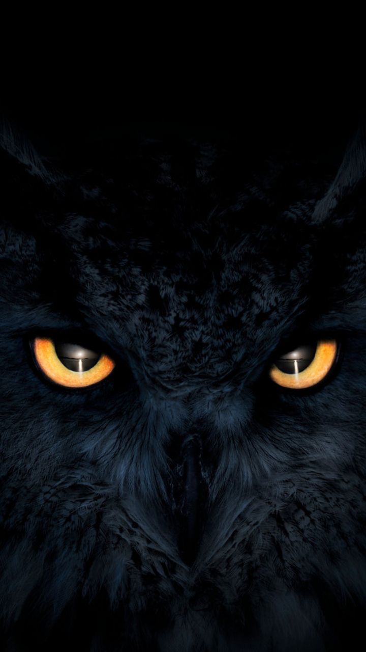 Owl, dark, glowing eyes, muzzle, 720x1280 wallpaper | Owl wallpaper ...