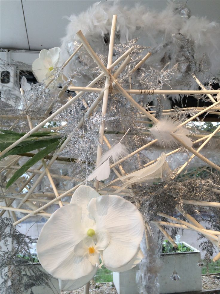 a white flower and some sticks in a room