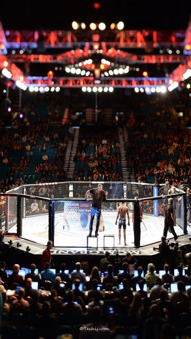 two men standing on top of a wrestling ring in front of an arena full of people