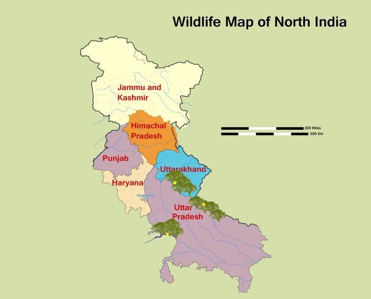 a map with the states and major cities in each country's boundary, including india