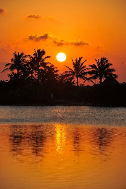 the sun is setting behind palm trees on the water's edge in front of an orange and yellow sky