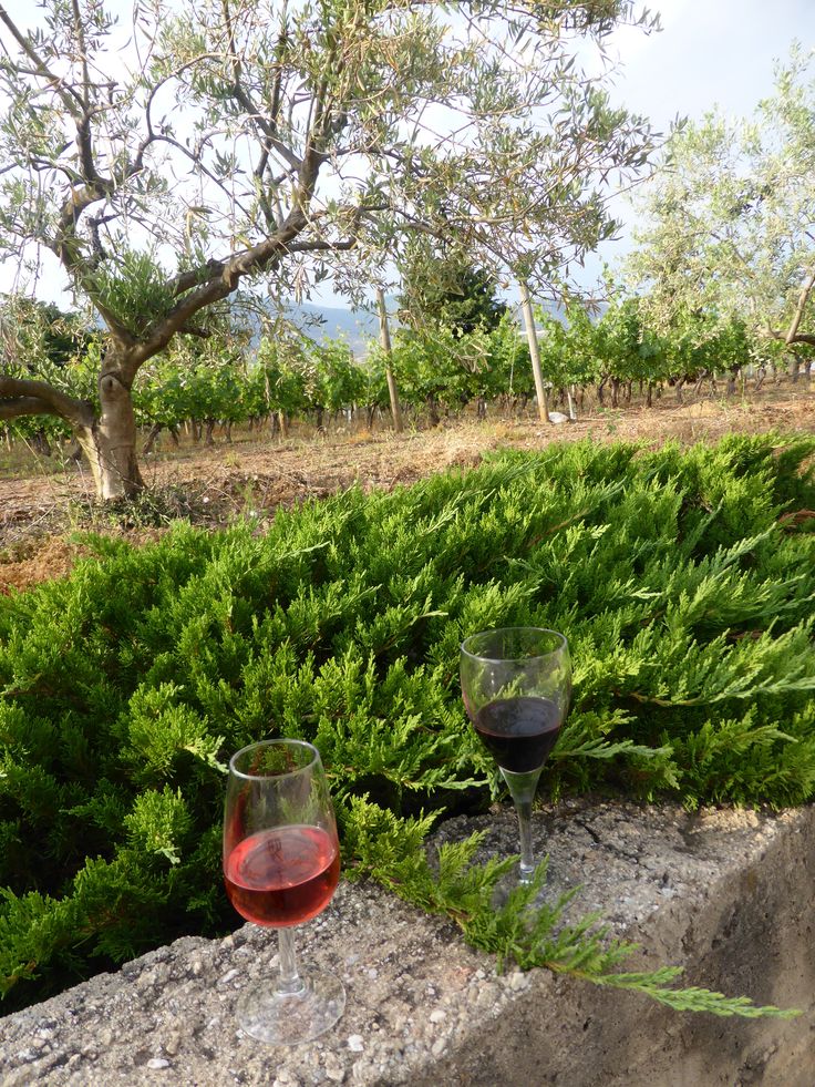 two glasses of red wine sitting on top of a stone wall next to green bushes