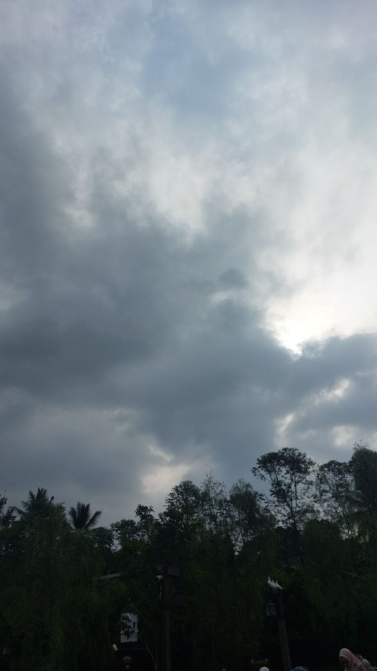 some people are flying kites in the air on a cloudy day with trees behind them