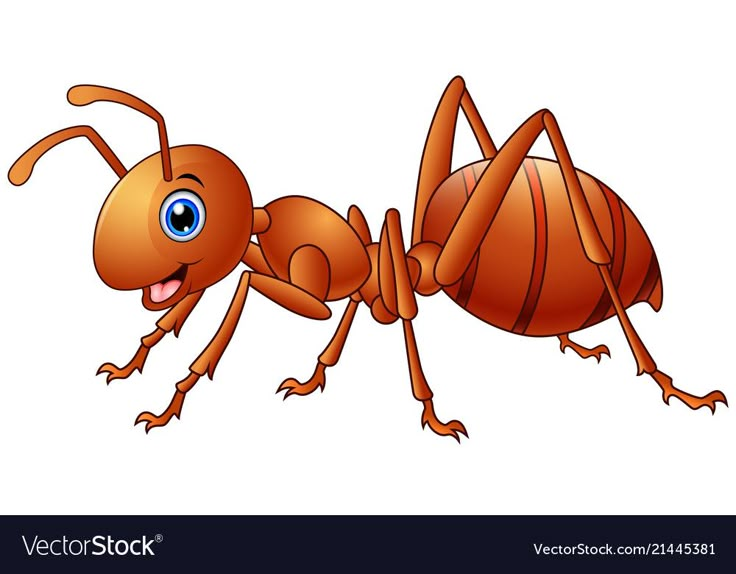 an ant bug with big eyes on a white background