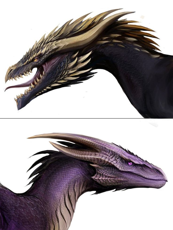 two different views of a dragon's head, one in purple and the other in black