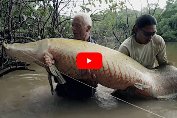 an old man holding a large fish in the water while another man looks at it