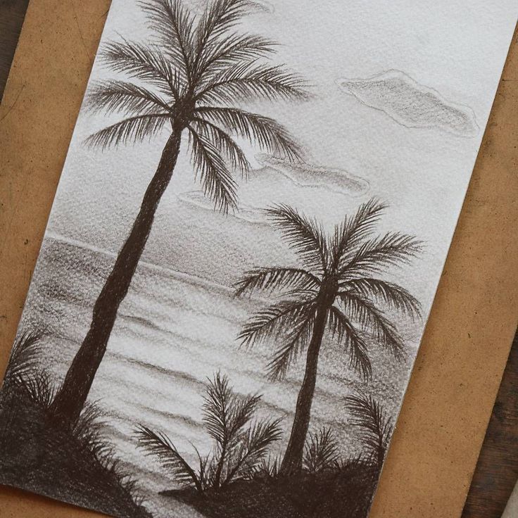 a drawing of two palm trees on a piece of paper