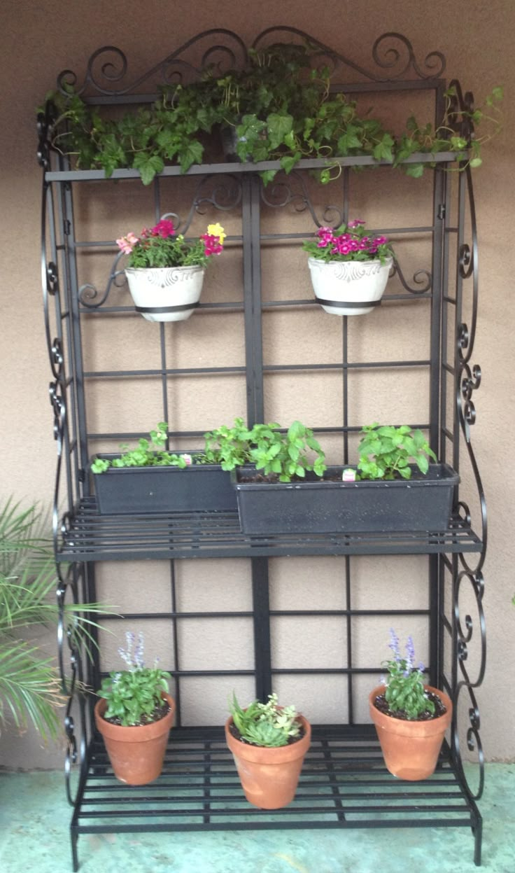 three potted plants sitting on top of a metal shelf next to another planter