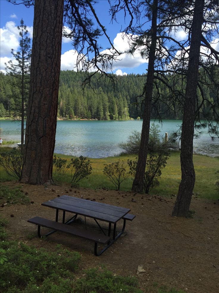 a picnic table sitting in the middle of a forest next to a body of water