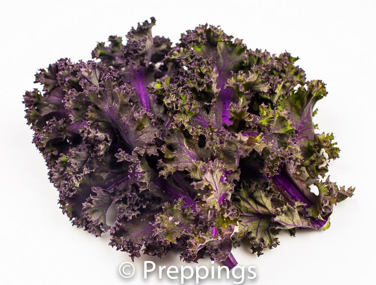 a pile of purple and green leafy vegetables on a white background with the words preppings above it