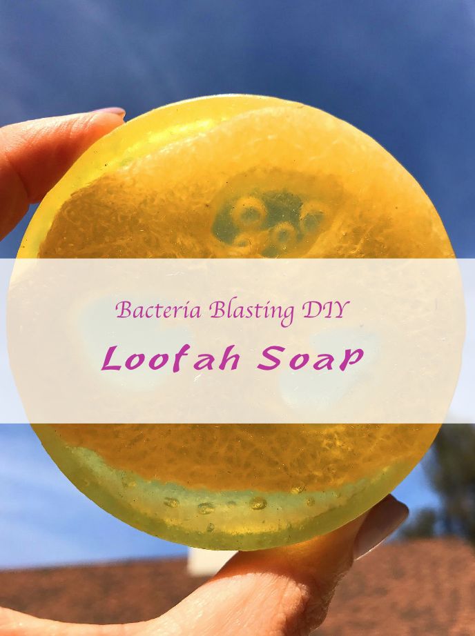 This is my all-natural DIY loofah soap, made with honey and essential oils. A great holiday gift. Diy Loofah Soap, Diy Loofah, Loofah Soap Diy, Apple Cider Vinegar For Skin, Loofah Soap, Natural Beauty Diy, Cinnamon Essential Oil, Cheap Beauty Products, Vanilla Essential Oil