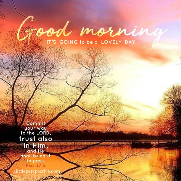 a poster with the words good morning and trees in front of a lake at sunset