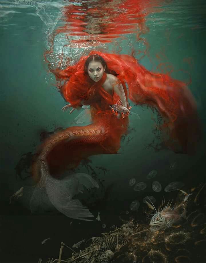 Pin by S A on Fantasy Illusion Dream | Mermaid art, Fantasy mermaids ...