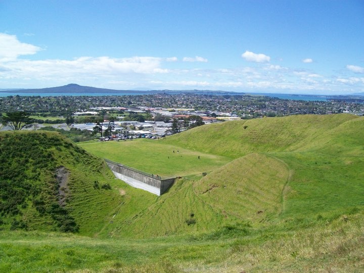 an aerial view of a grassy area with mountains in the background