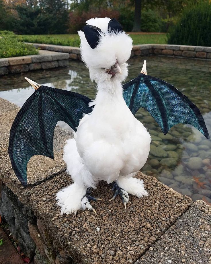 a white and black dragon sitting on top of a stone wall next to a pond