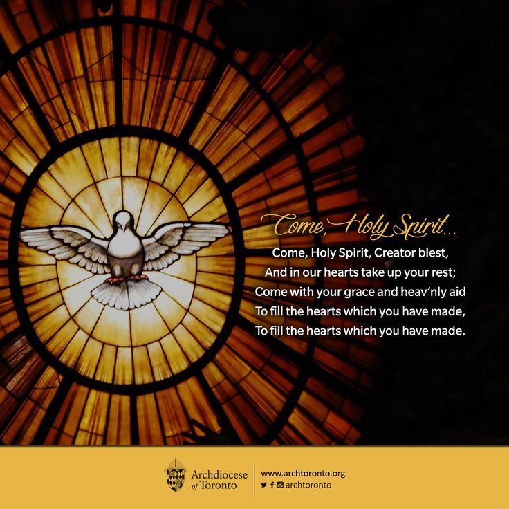 Come, Holy Spirit! #pentecost #catholic #prayer #holyspirit Vatican Art, Come Holy Spirit, Bible Images, Pentecost, Holy Spirit, Rome, Les Oeuvres, Stained Glass, Toronto