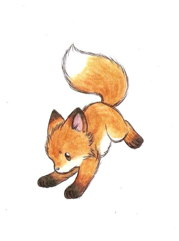 red fox drawing easy - Karri Goebel