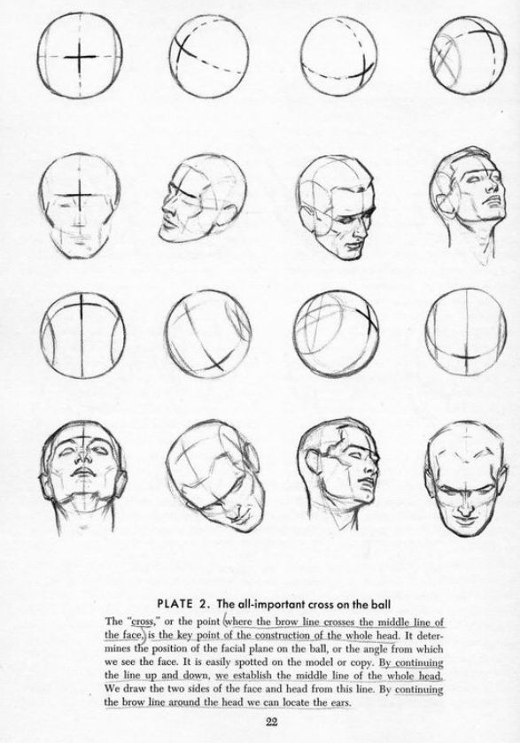 Drawing the Head and Face Part 2 Human drawing, Drawing the human