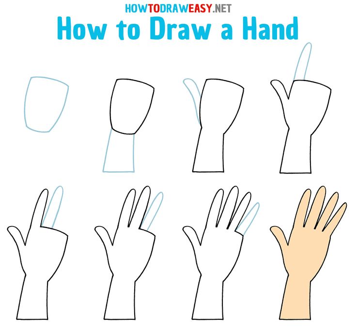 How to Draw a Hand Step by Step | Drawing tutorial easy, Draw, Drawing ...