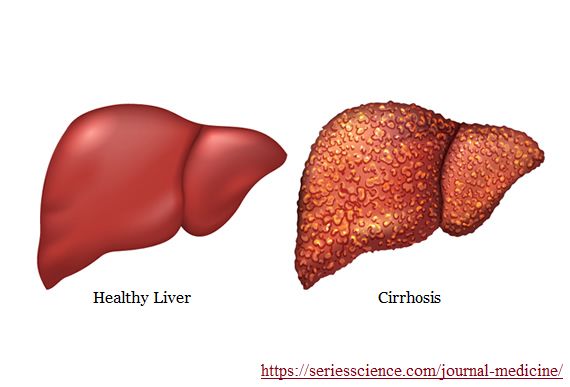 Pin by SeriesScience International on Series of Medical Science ...