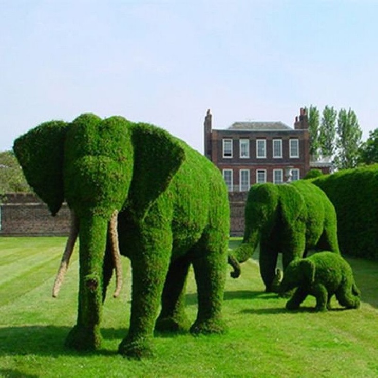 Elephant topiaries! | Elephant, Animal topiary, Topiary garden