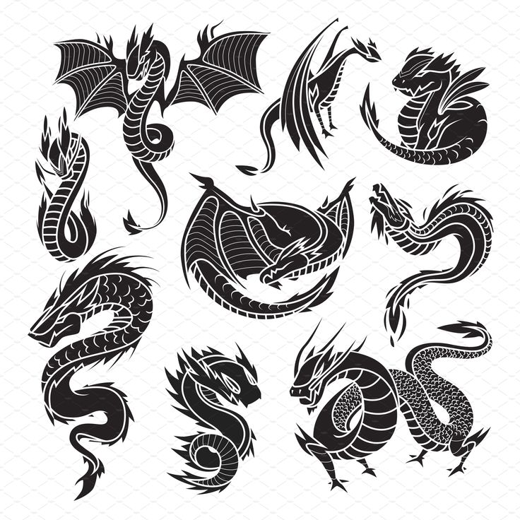 a set of black and white dragon tattoos