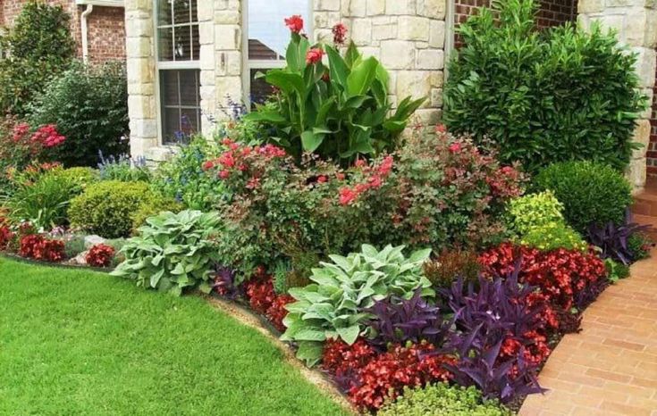 a garden with lots of different types of flowers