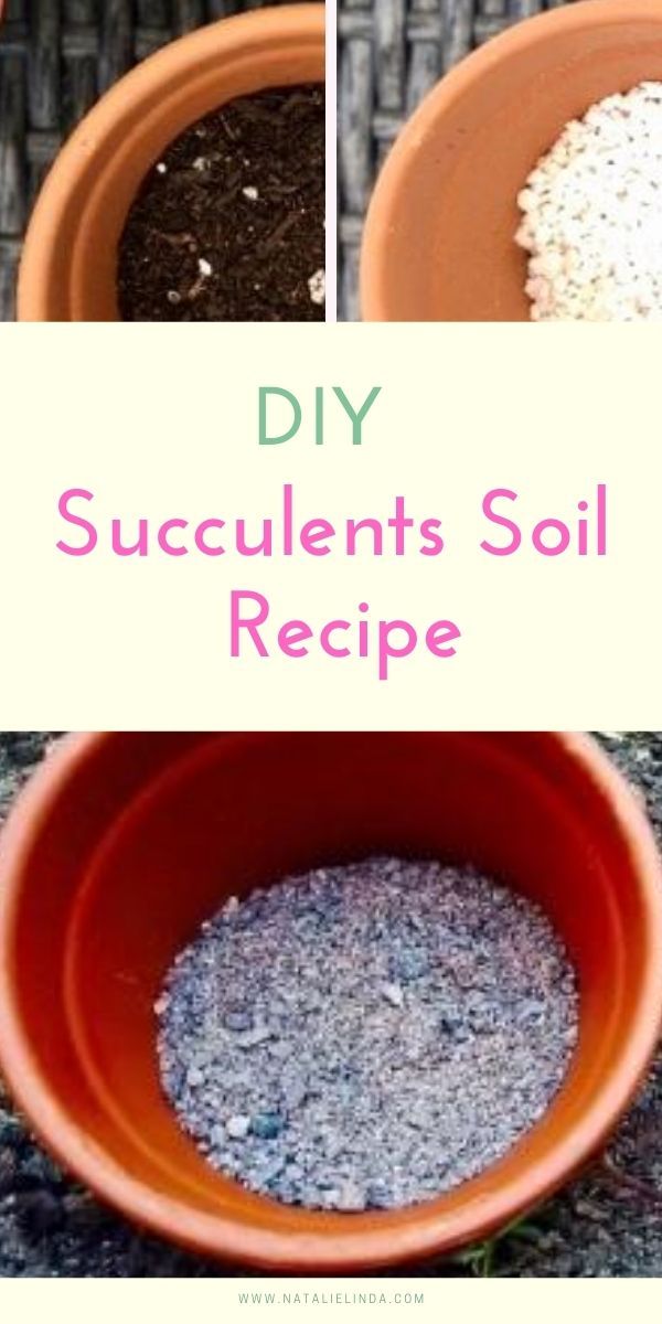 three different pictures with the words diy succulents soil recipe in them