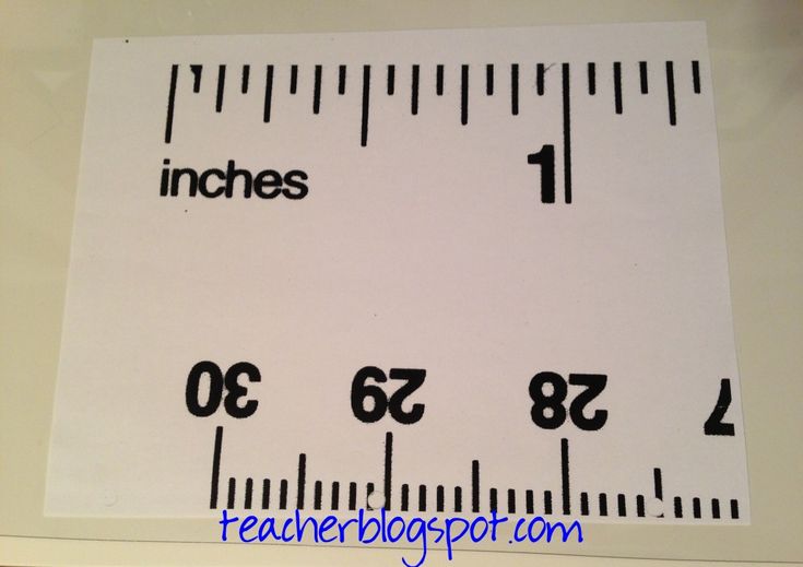 Fractions On A Ruler Worksheet