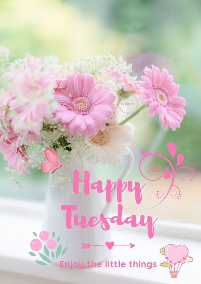 Pin on morning wishes in 2024 | Happy tuesday, Good morning flowers ...