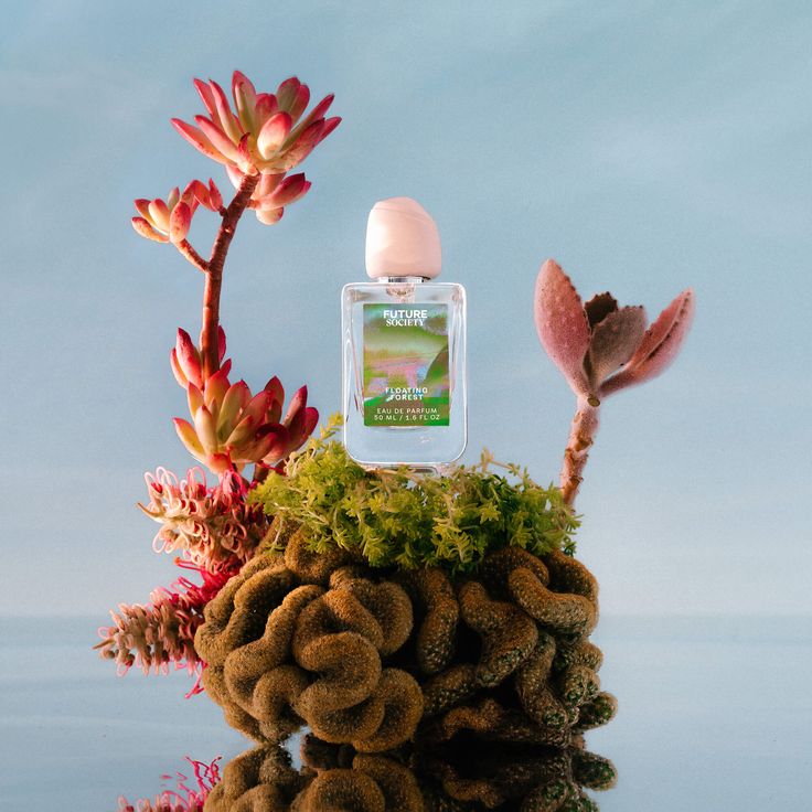 Fragrance Finder | Future Society Future Society, Fragrance Finder, Rose Absolute, Blooming Trees, Earthy Scent, Mystical Forest, Fig Leaves, Rose Scented Products, Pink Sugar