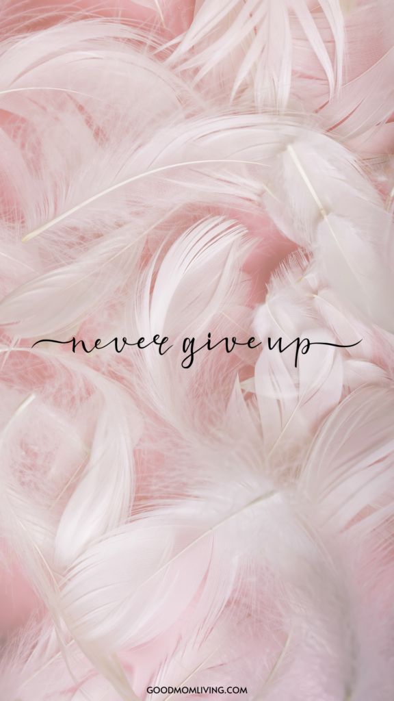 pink and white feathers with the words never give up written on them in black ink