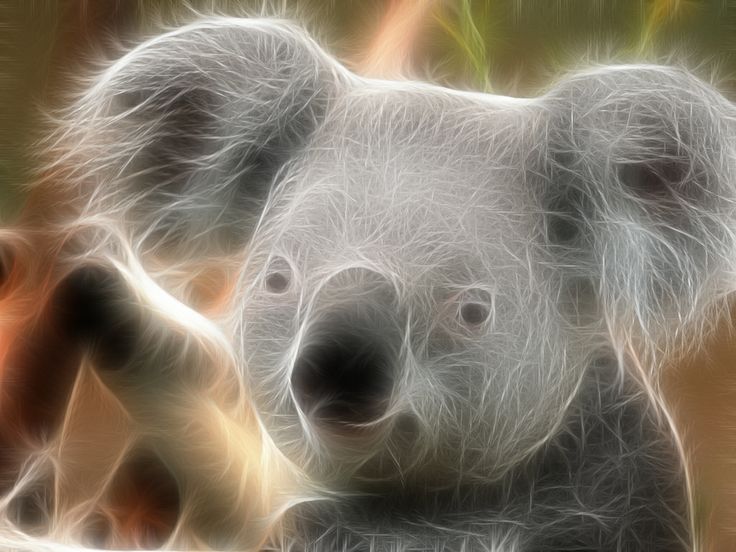 a digital painting of a koala bear looking at the camera with blurry background